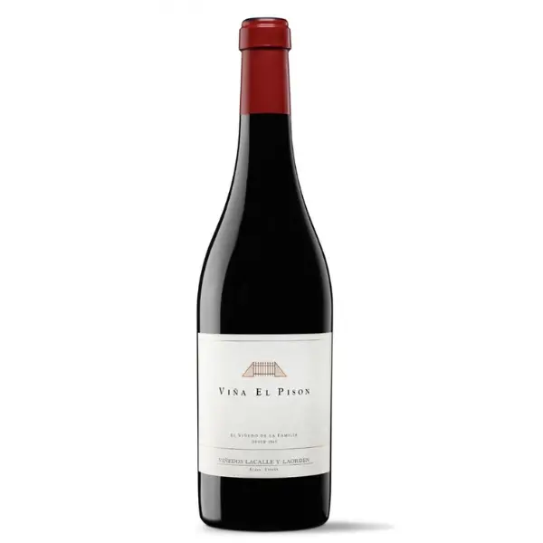 Artadi Viña El Pisón