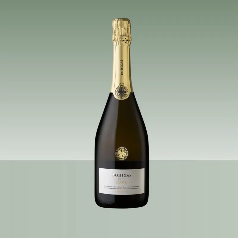 BOHIGAS BRUT RESERVA MAGNUM