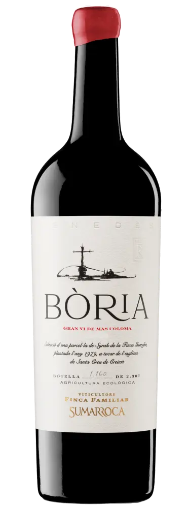Boria 2020