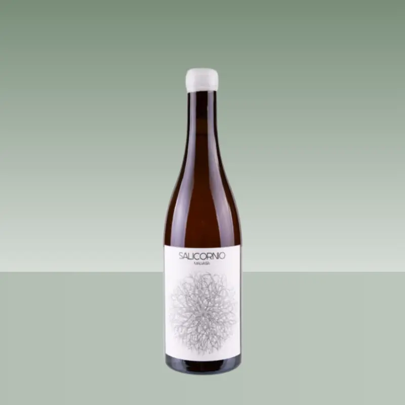 CASA BALAGUER | SALICORNORNIO MALVASIA 2023 75cl