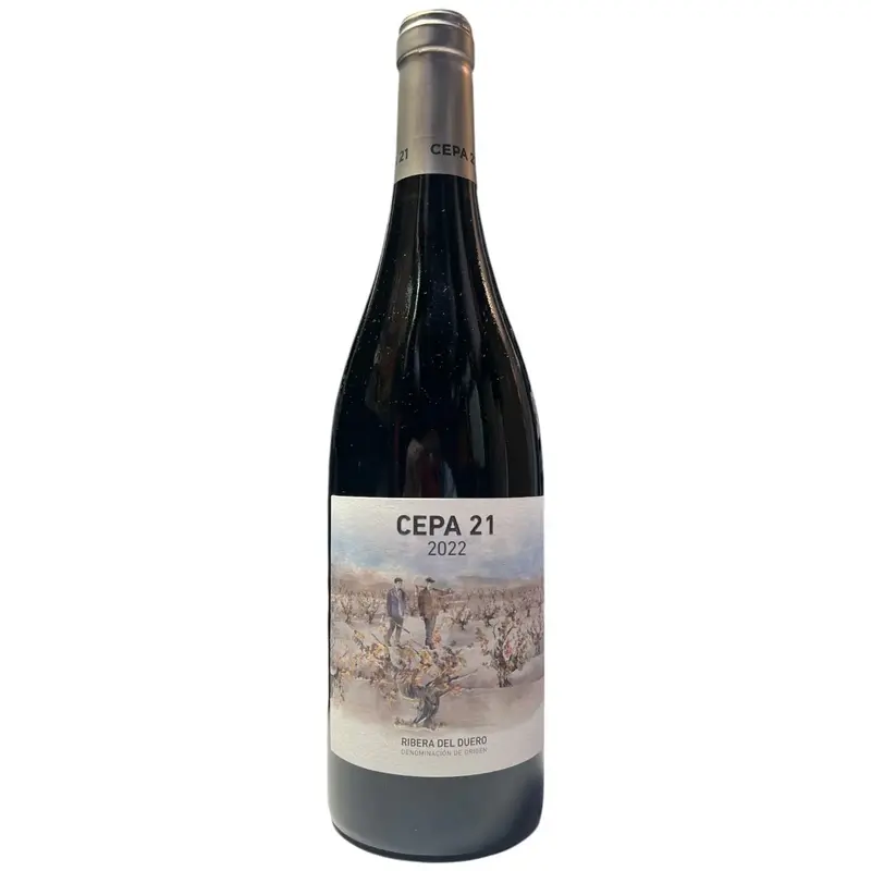 CEPA 21 RIBERA DEL DUERO 75CL