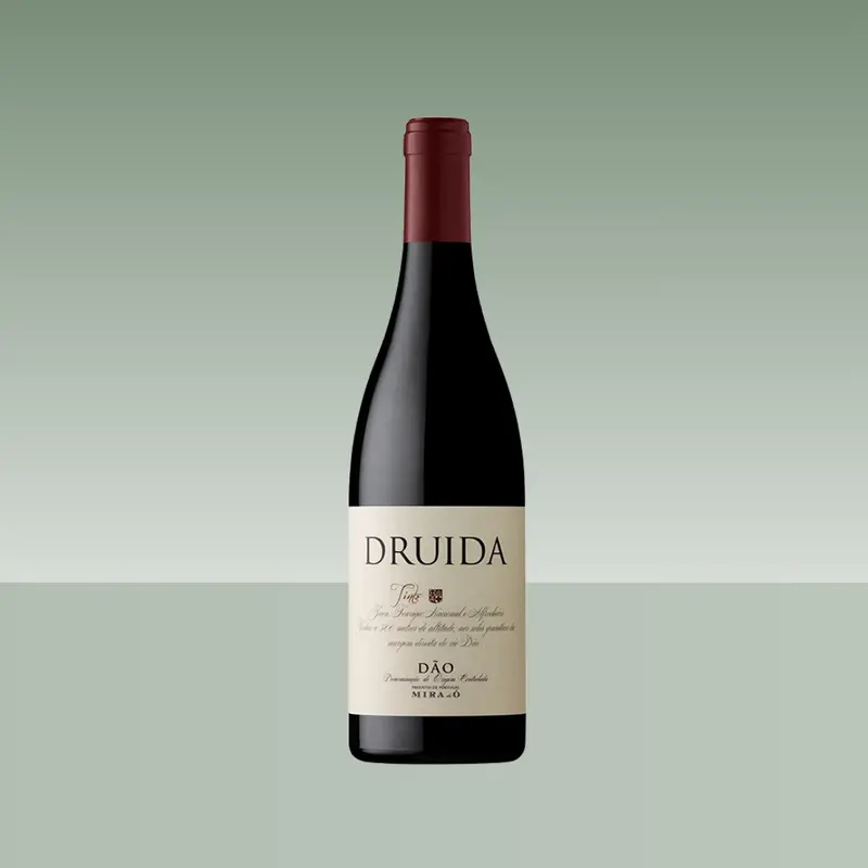 DRUIDA 2019