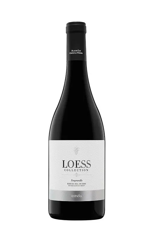 Loess Collection Tinto 2021