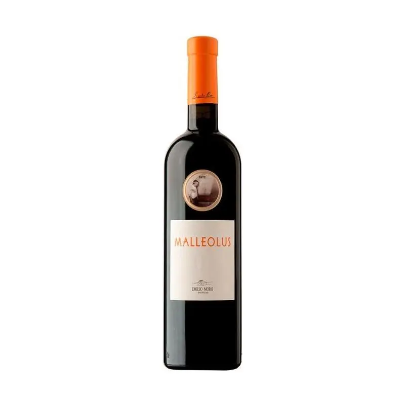 Magnum Malleolus 2023