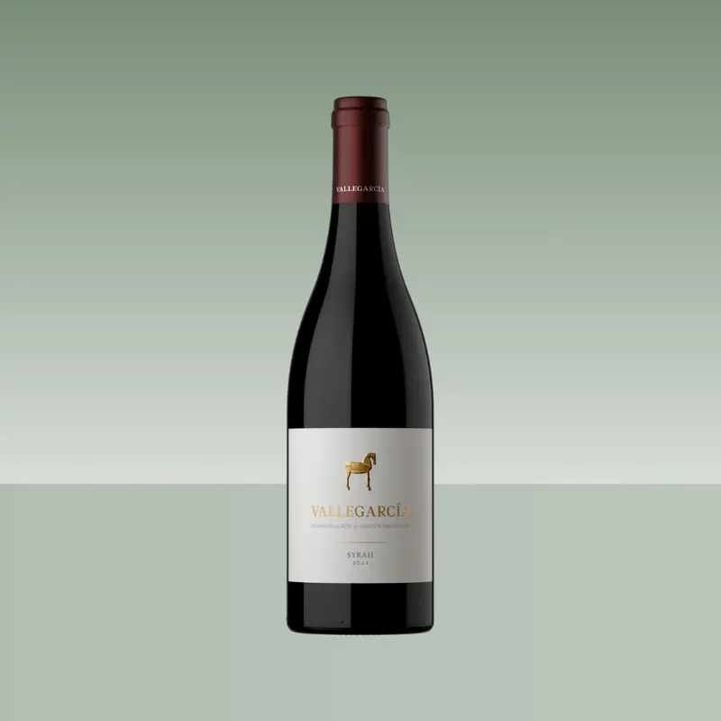 PAGO DE VALLEGARCÍA | SYRAH 2021 75cl