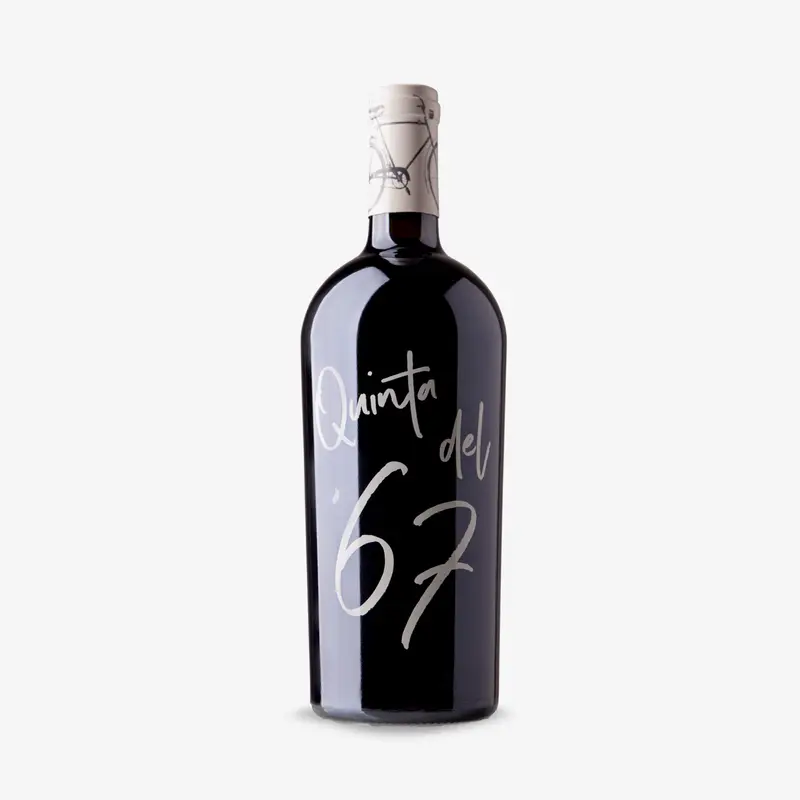 QUINTA DEL 67