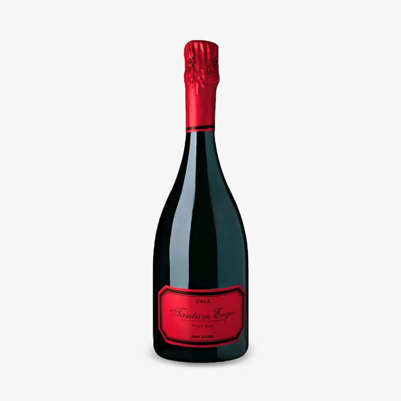 TANTUM ERGO PINOT NOIR ROSÈ