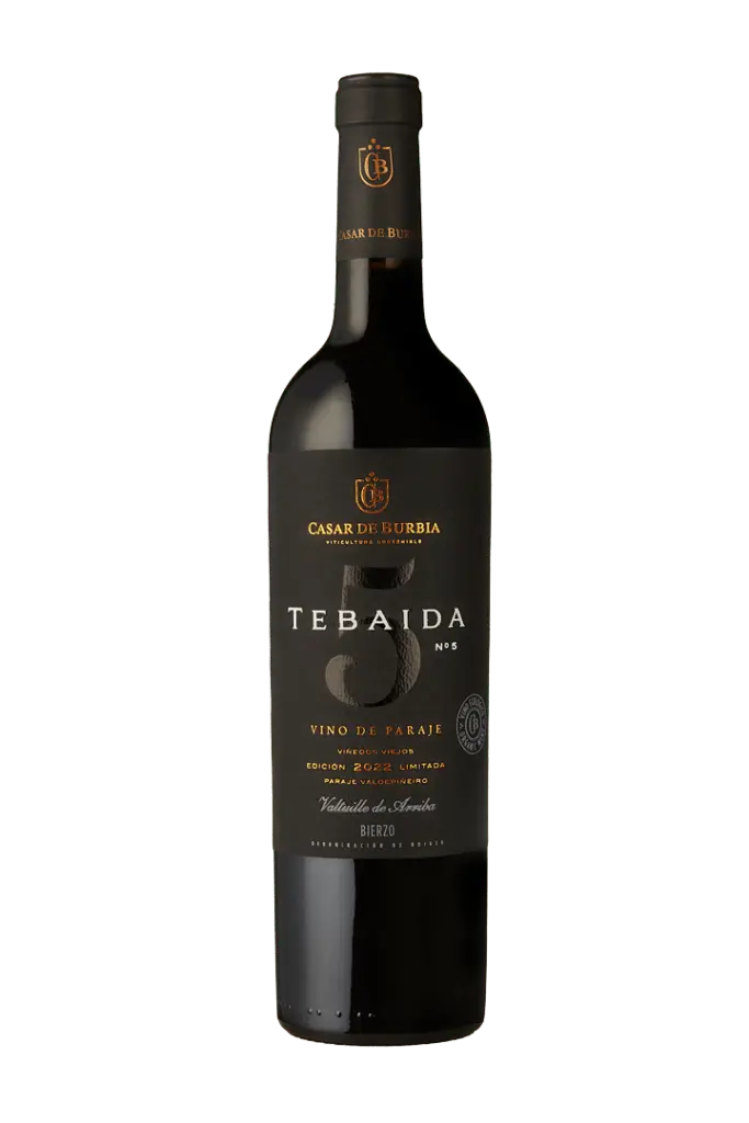 Tebaida Nº5 2022