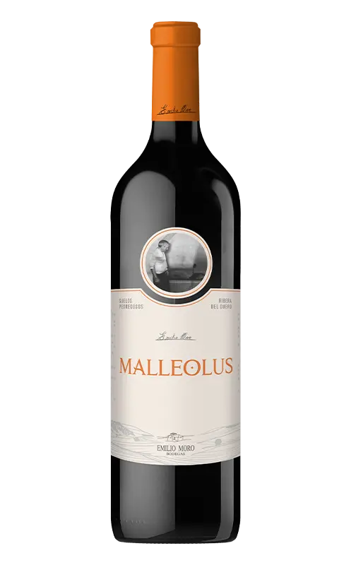 Vino Tinto Malleolus 75cl